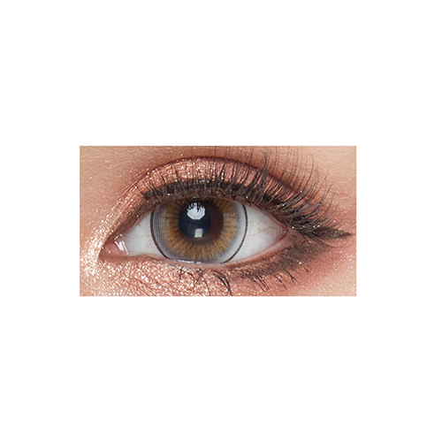 LOVELY LENS - Forum Gray