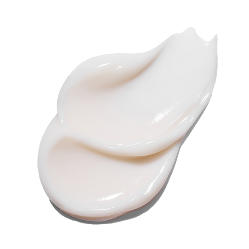INNISFREE - Green Tea Seed Hyaluronic Cream