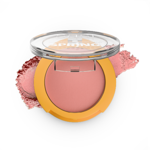 SASI - Perfect Personal Color Blush