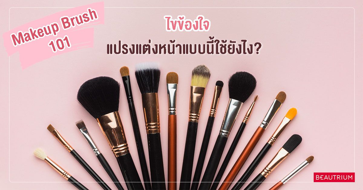 Makeup Brush 101 แปรงแต่งหน้าแบบนี้ใช้ยังไงเนี่ย?!