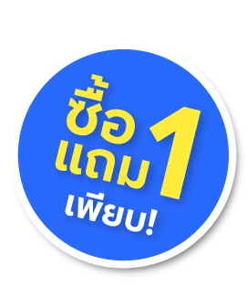  ซื้อ 1 แถมเพียบ