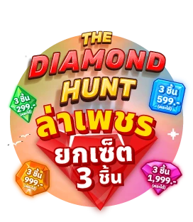 เซ็ต 3 ชิ้น Set 3 pcs
